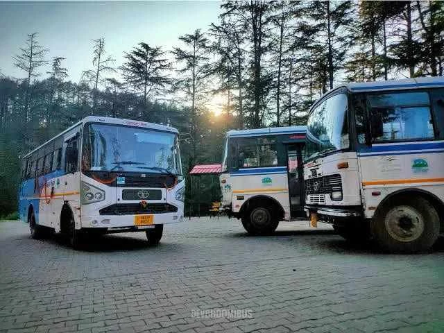 लोहाघाट :सीएस हेल्पलाइन  से लोहाघाट डिपो की तीन बस सेवाओं में शुरू हुई ऑनलाइन बुकिंग।